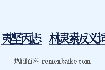 夷坚丙志·林灵素反义词是什么意思的图片